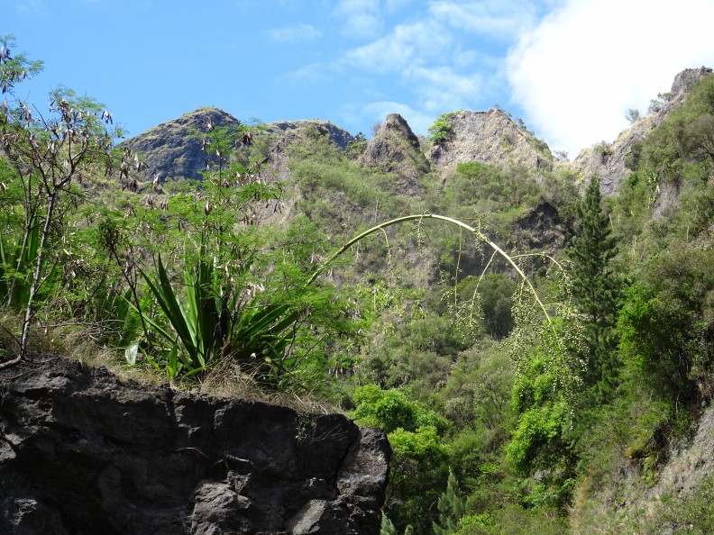 J4 Cayenne Roche-plate 31 - J4_Cayenne_Roche-plate_31.jpg J4_Cayenne_Roche-plate_31.jpg
