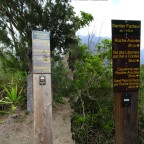 J4 Cayenne Roche-plate 53