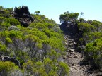 J8B Piton-des-Neiges gite de Belouve 06