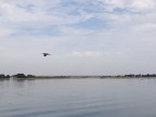 2023-09 Arzon Morbihan 044