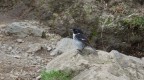 DSC00203